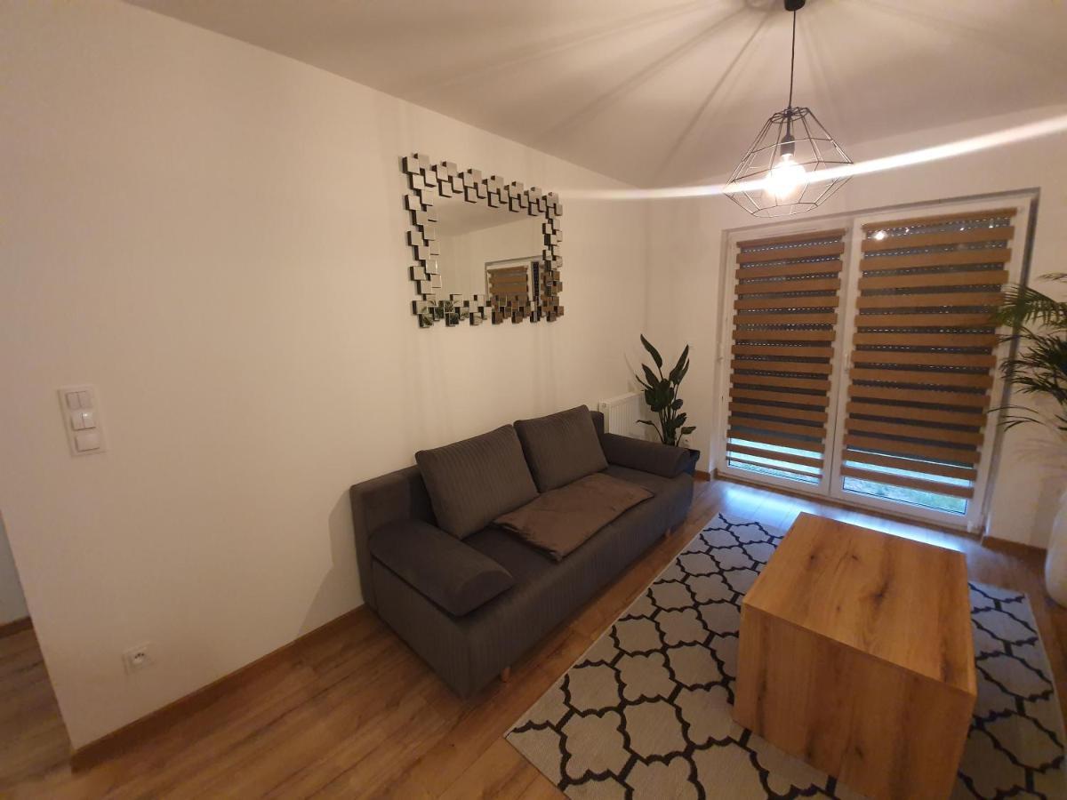 Apartament Number One Nova Wozownia 莱什诺 外观 照片
