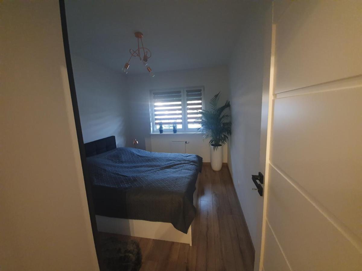 Apartament Number One Nova Wozownia 莱什诺 外观 照片